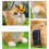 Statue de chats papillon, ornement de jardin,-petit chat orange 6