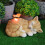 Statue de chats papillon, ornement de jardin,-petit chat orange 7