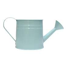 Arrosoir en fer Vintage, jardinière, Pots de fleurs-bleu clair