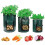 Ensemble de 5 conteneurs pour-Noir britannique 10 gallons 4 4