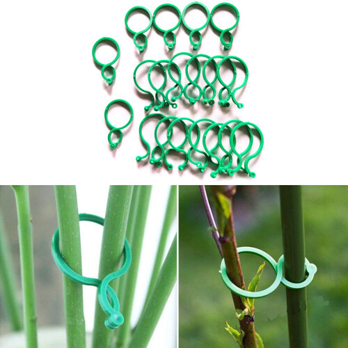 Clips de Support pour plantes, 50 pièces,-trompette verte 1 2