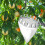 Adjustable Fruit Pickers with Telescopic Stainless Steel Handle 6