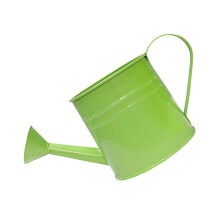 Tragbarer Eisen-Blumeneimer im Retro-Design, Gießkanne,-Hellgrün