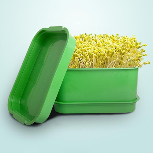 Tray Kits Microgreens Growing Trays For Seed Bean Wheatgrass Maker Container 2