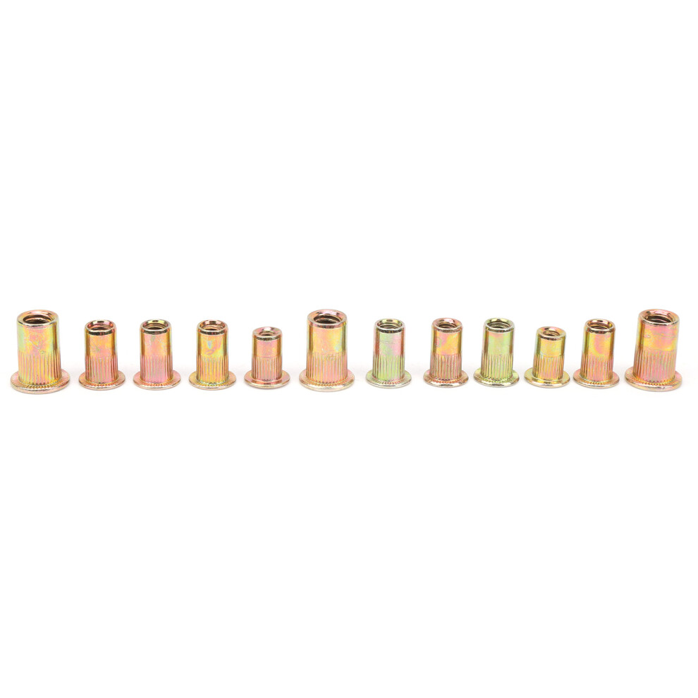 150Pcs High-Quality Galvanized Rivet Nuts Complete Assortment British Spec 7901379612630