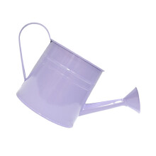 Arrosoir en métal porte-plantes élégant bouteille-violet clair