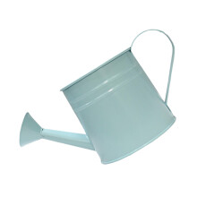 Stylish Metal Watering Can Planter Vintage Iron-light blue
