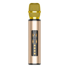 Microphone de Karaoké Sans Fil TWS avec Haut-Parleur Microphone Chantant pour Performances de FêTe à Domicile pour Enfants-Or