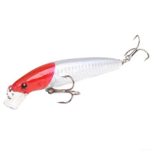 Fishing Lure 10cm 9g Minnow Hard Bait for Bass and Pike, Lifelike Design for Freshwater Saltwater