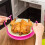 Food Heating Tray Double Oven Heating Shelf For Student Office, SpaceSaving Design, Compact Size, Efficient Heating 2
