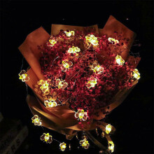 String Lights 10Ft 30LED Battery Operated Bee Decor Fairy Bee Lights For Bedroom Dorm Patio Wedding Modern