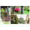6st 14/16 Tums Hängande Blomkorgsfoder Tyg Hängande Växtfoder Runda Planteringsfoder Non-Woven Svart Filt 6