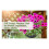 6st 14/16 Tums Hängande Blomkorgsfoder Tyg Hängande Växtfoder Runda Planteringsfoder Non-Woven Svart Filt 3