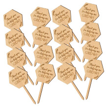 Wood Garden Plant Labels With Stakes 20 Pcs For Potted Plants DIY Wooden Markers For Succulents Vegetables Lightweight