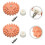 Rubber Wheel Removal Disks 2 Pcs For Decals And Stickers With Drill Adapter 5