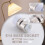 AC 220V B22 to E14 Base Socket Light Lamp Bulb Adapter Holder 4pcs 3