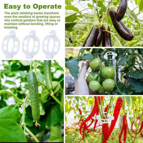 40pcs Tomato Hooks with String, Tomato Support Hooks, Tomato Holder Hooks & Plant Support Clips with 33.3ft Twine 2