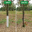20pcs Corrugated Tree Guards Saplings Tree Trunk Protectors Tree Trunk Guard, Deer and Rabbit Protection Tree Guard Wrap 2