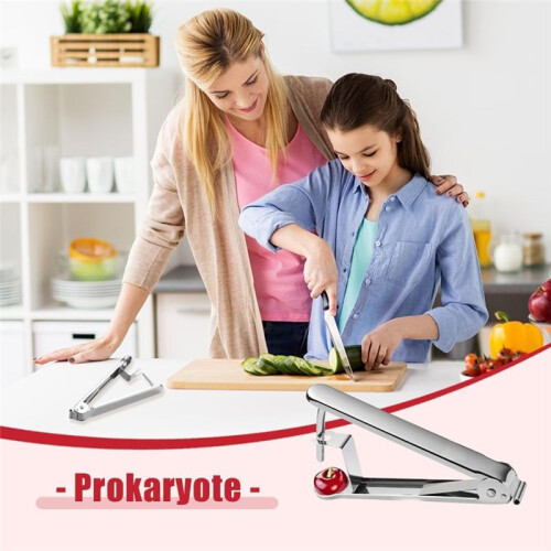3 Stuks  Pitter Remover RVS Kersenboor Pitter Tool,  Seed Remover Multifunctionele Fruit Pit 2