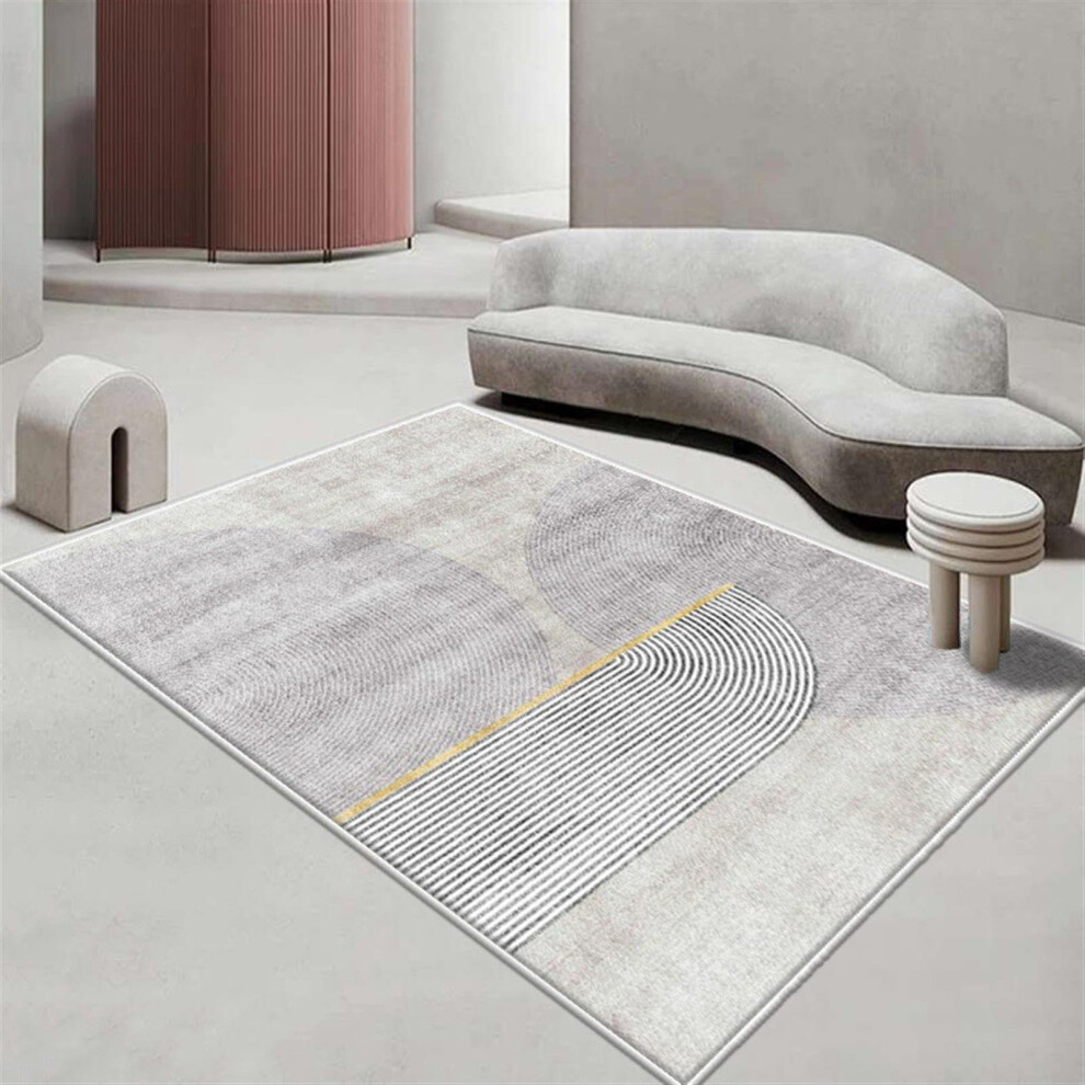 Living Room Rug Ultra Soft Area Rug 140x200cm Luxury Fluffy Lounge Rug For Bedroom Nursery Kids Room