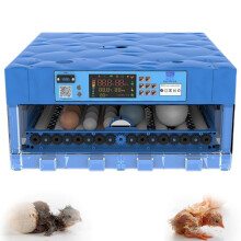 Poultry Hatcher 64Egg Capacity With Temperature Control AC/DC Dual Power Supply For Chickens Ducks Quail