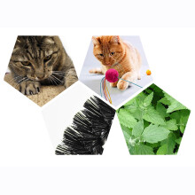 Auto-brosseur pour chat, masseur en loofah, doux pour la peau