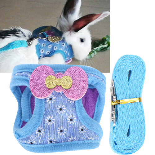 Verstellbare Leine Harness Atmungsaktive Brustgurt