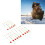 15PCS Mini Winter Eis Angelrute Top Spitze 12