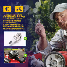 10St MinigräSklippare TäNdstift L7Tc Br2Lm för Briggs Stratton-Motorer 55Mmx22Mm