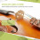 Violindelar Violin-Bridge-5Pc-4/4 Maple Bridge Violindelar, 4 Delar 2