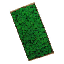 Natural Preserved Moss Garden Art Wall Decoration Micro Landscape Props Bulk