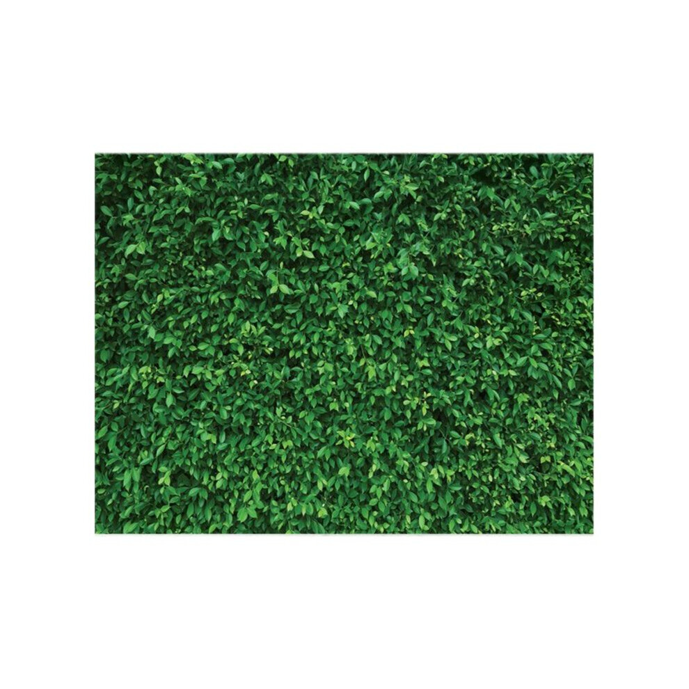Vinyl Leave Photography Backdrops Birthday Background For Birthday Photo Booth Prop Decoration Green 4711257328965