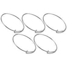Hochwertige Edelstahl-Fahrrad-Freehub-Federn, Fulcrum F-Serie, 5er-Pack