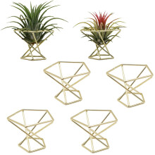 6 Piezas Soporte GeoméTrico para Plantas de Aire, Estantes para Plantas de Metal, Estantes para Macetas, DecoracióN Himmeli, Contenedores Tillandsia