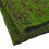 Durable Simulation Moss Rug Craft Grass Sheet for Garden 6