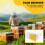 Honey Beehive Frames Beekeeping Box Bee Hive King Pollination Box Bee Mating Copulation Box Beekeeping Equipment 5