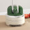 Knife Sharpener MultiAngle Pocket and Kitchen Sharpener with Stable Suction Base for Blades 3