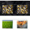 USB Microscope Camera 50X To 1000X Magnification With Stand For Android 1080P WiFi Digital Microscope 2