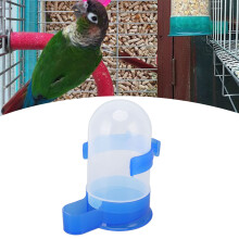 Durable 500ml Bird Food Feeder for Parrots and Lovebirds