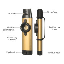 Gold-Aluminium-Kazoo, einfach zu spielen, Holzblasinstrument für Anfänger, langlebig