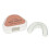 EVA Dental Protector Boxing Mouth Guard Teeth Protector Brace Transpar 1