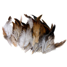 50 Pcs Rooster Cock Feather for Hat and Headgear Decor DIY Craft Natur