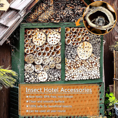 300 pezzi tarwestro 4-6mm insettinhotel 2