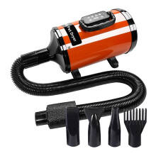 Asciugacapelli ionico intelligente YC-C5 con schermo LCD e spina USA.