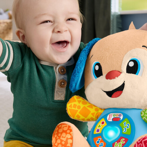 Fisher-Price Fisher-Price, Toy, JFD21 2