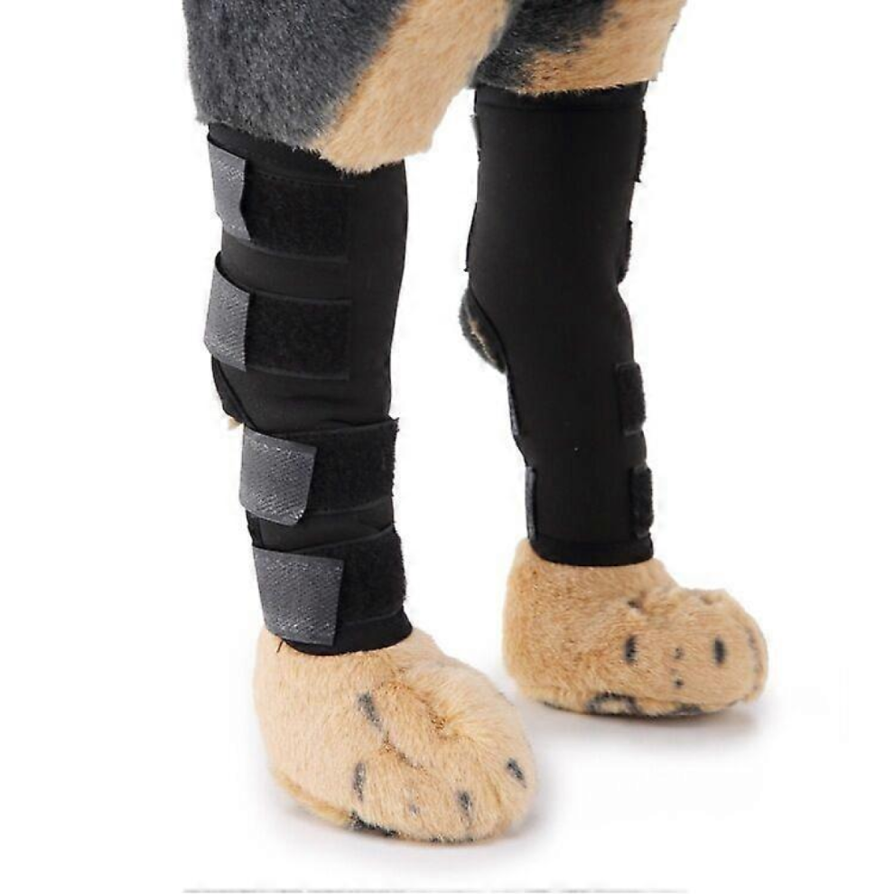 MulticolorSize: LPet Knee Wrap Dog Hind Leg Hock Joint Support for Injury Recover Dog - Size: M
