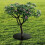 Weed Control Mat Nonwoven Tree Ring Mulch Protector 62cm 8pcs for Landscaping and Root Care 4