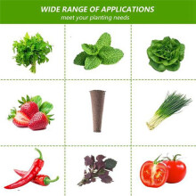 Lot de 30 éPonges de Culture de Plantes à Graines, éPonges de Croissance de Plantes Respectueuses de L'Environnement pour la Croissance des Plantes