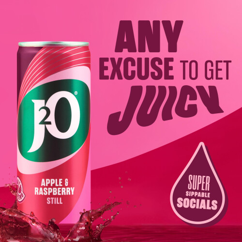 J2O Fruit Juice Apple and Raspberry 250ml Cans Pack of 12 2