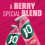 J2O Fruit Juice Apple and Raspberry 250ml Cans Pack of 12 4